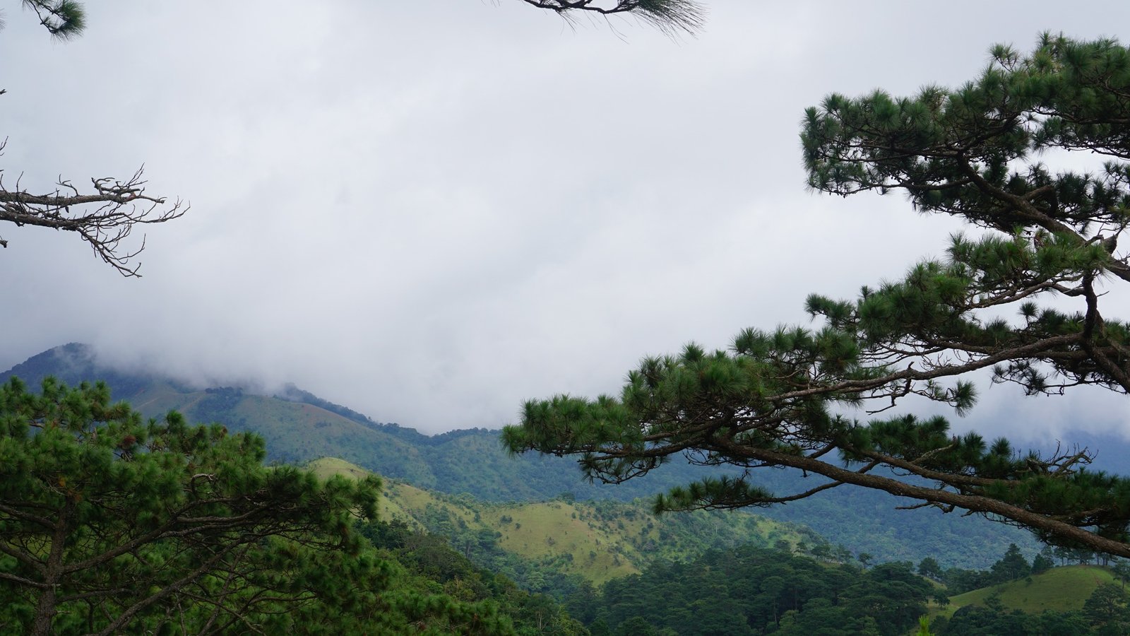 7 Days Hanoi - Hagiang - Hoang Su Phi Hiking Tour